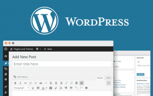 Read more about the article Adding Images to Posts or Pages (WordPress)