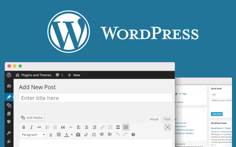 Adding Images to Posts or Pages (WordPress)